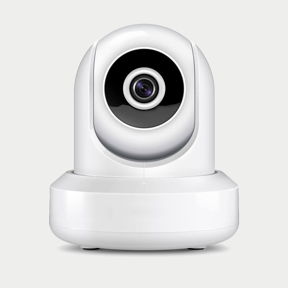Night Security Cam 2Z1